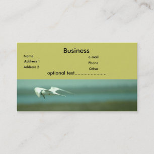 De Visita Ônibus. Cartão - andorinha-do-mar