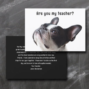 De volta à escola Boston Terrier - Cartões de Boas