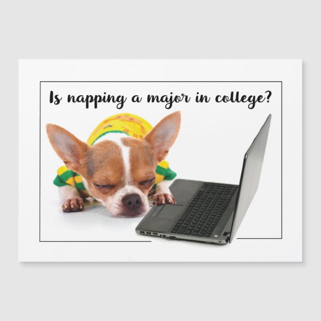 De volta à Escola Engraçado Cachorro de Nápoles no (Frente)