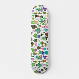 Decodificador de Planta Suculenta do Skateboard Ca