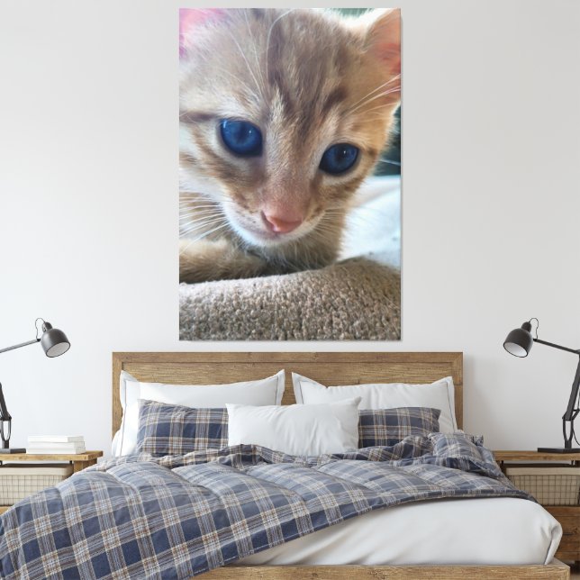 Decoração da arte do muro do Fotografiqq (Insitu(Quarto))