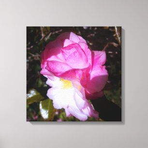 Decoração da parede da Canvas de cor da Camellia r