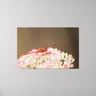 Decoração de Arte de Dragonfly Vermelha