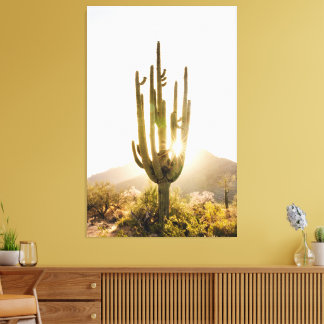 Decoração de Fotografia do Deserto com Cactus