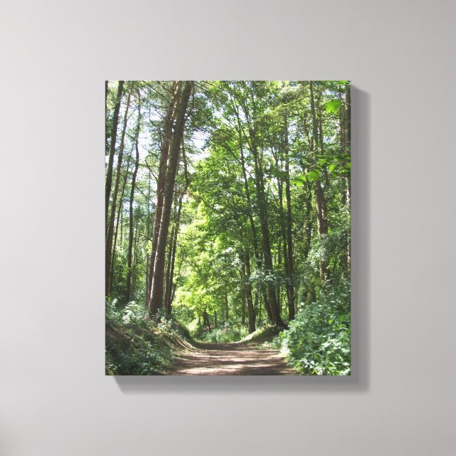 Decoração de Muro das Florestas (Frente)