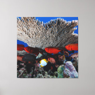 Decoração de parede de coral e peixes em tela
