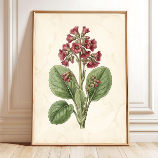 Decoração de Parede de Fazenda Botânica Vintage -