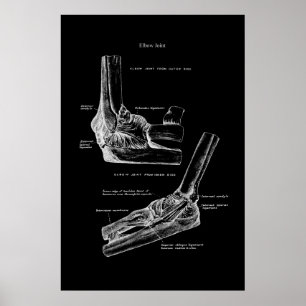 Decoração de Parede Ortopédica Articular