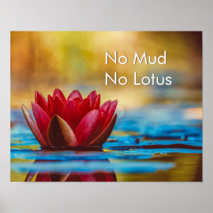 Decoração de Parede Zen Mindfulness Sem Lama Sem L