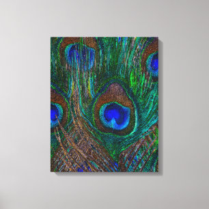 Decoração do Estilo de Penas de Peacock à Meia-Noi