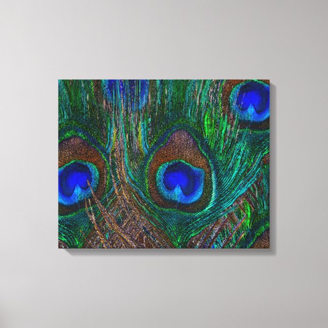 Decoração do Estilo de Penas de Peacock à Meia-Noi (Frente)