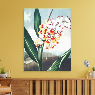 Decoração Floral Exótica Branca Amarela Estilo Reg
