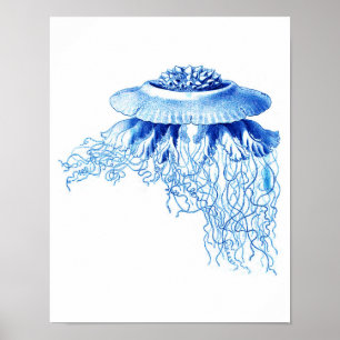 Decoração náutica azul da parede do impressão 