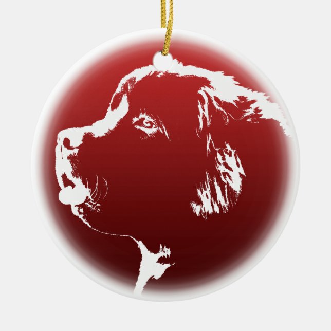 Decoração Personalizada de Cão em Ornamento de Ter (Frente)