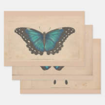 Decoupage de Pesos Pesados da Borboleta Azul Vinta