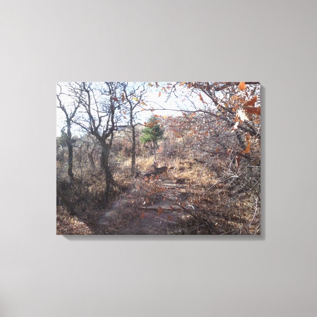 Deer in the Woods Canvas Print (Frente)