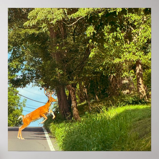 Deer Jumping Photo Poster (Frente)