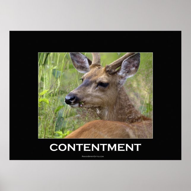 Deer Motivational Poster (Frente)