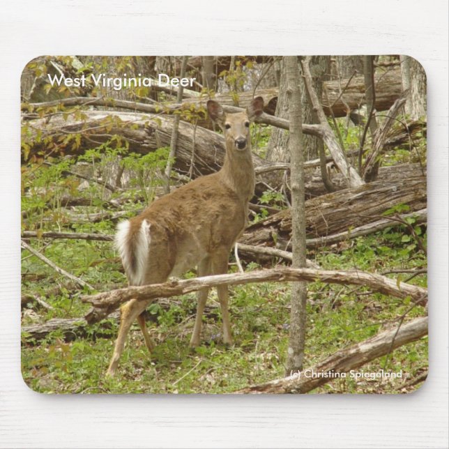 Deer Mousepad (Frente)