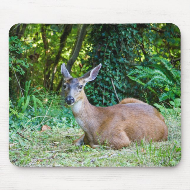 Deer Mousepad em repouso (Frente)