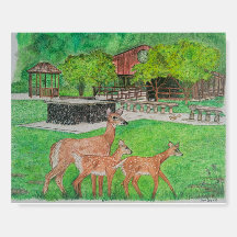 Deer Walking in Humiston Woods - Conselho de espum