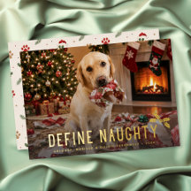 Definir Foto Engraçada de Natal do Naughty Dog