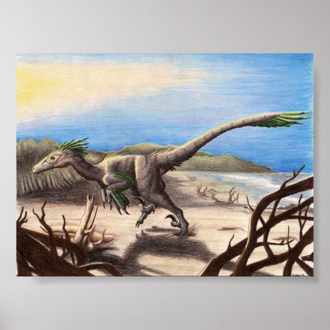 Deinonychus na Impressão da praia (Frente)
