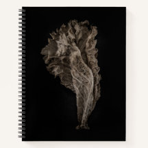 Deixa a versão de cor n.o 8