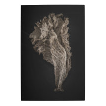 Deixa a versão de cor n.o 8