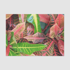 Deixa o papel dos tecidos