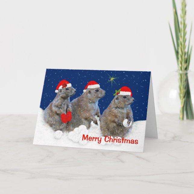 Deixais lhe para nevar cartão de Natal (Frente)