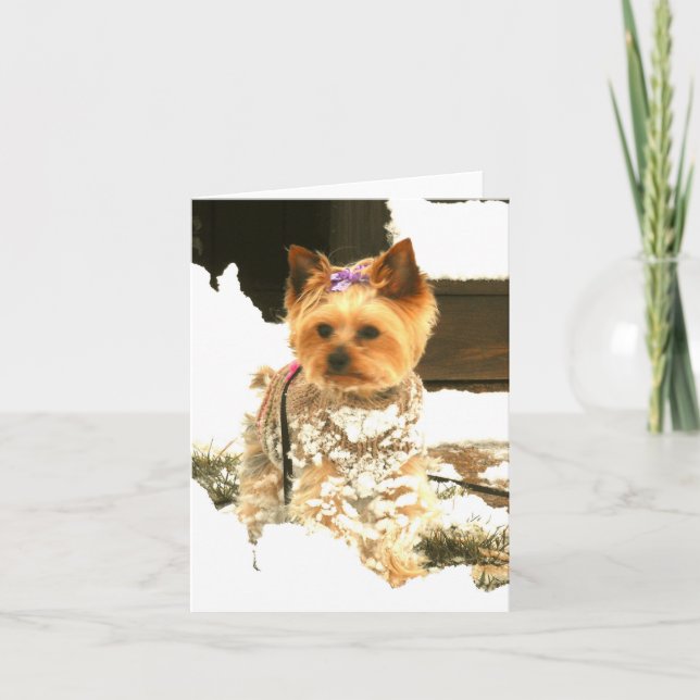 Deixais lhe para nevar cartão de nota (Frente)