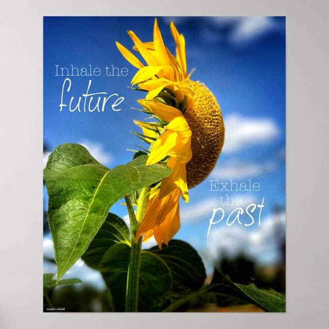 Deixando Ir e Olhando para frente Poster (Frente)