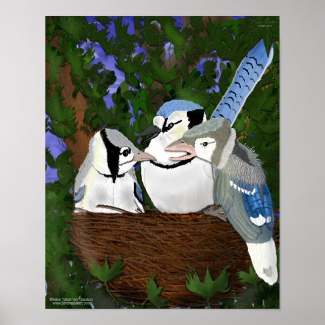 Deixando o Poster do Nest Blue Jay (Frente)