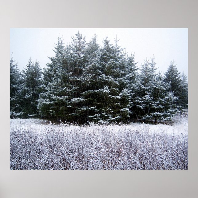 Deixe-o nevar Poster (Frente)