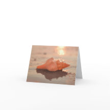 Deixe um pequeno cartão de Shell de Cavalo Sparkle