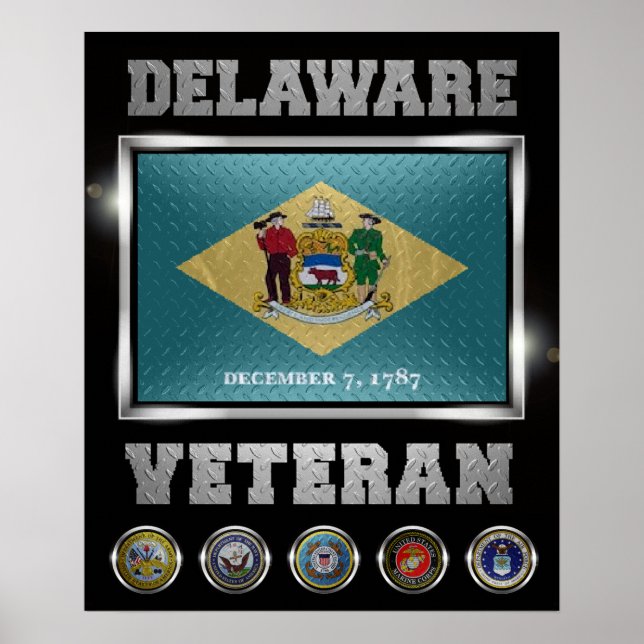 Delaware Veteran Poster (Frente)