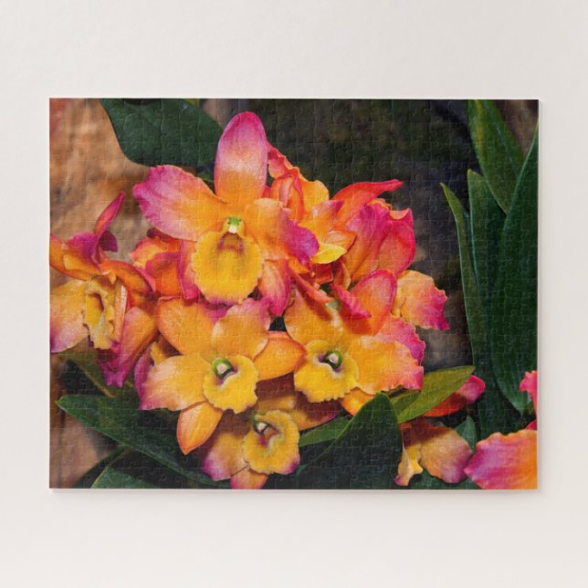Delicar Orquídeas - Quebra-cabeça (Horizontal)