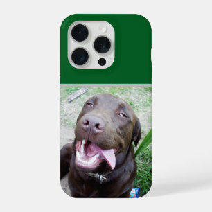 Delícias de Pateta: Cachorrinho Labrador Chocolate