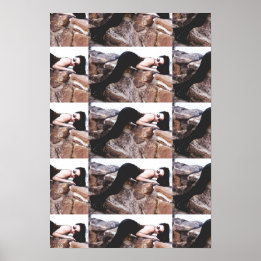 Demi Lowe No Colorado Poster 2