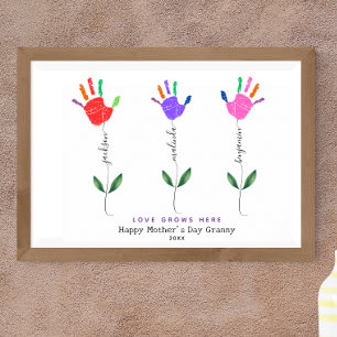 Denominações de flores para impressões digitais pe