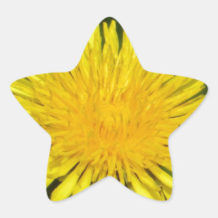 Dente-de-leão amarelo da etiqueta