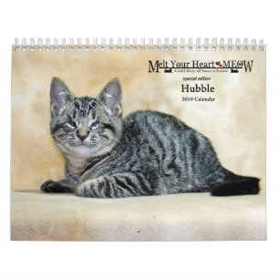Derreta seu calendário de Hubble 2019 do Meow do