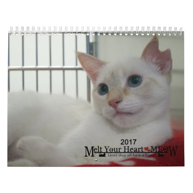 Derreta seu coração - calendário 2017 do gatinho (Capa)