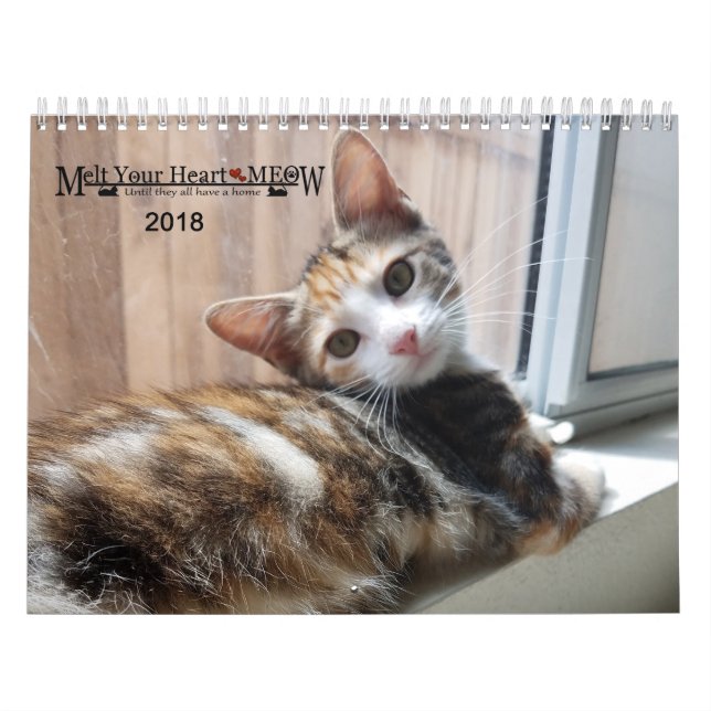 Derreta seu coração - calendário 2018 do gatinho (Capa)