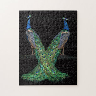 Desafiando Dois Quebra-cabeça de Peacock