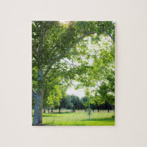 Desafiando Quebra-cabeça de Árvore Golf de Disco