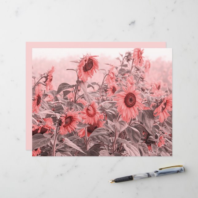 Descamação das Cinzas Rosa Escamoteadas de Girasso (Frente/Verso In Situ)