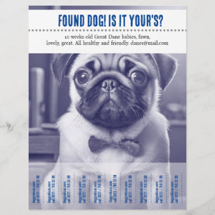 Descolado achado vendendo folheto 