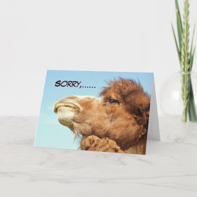 Desculpe - Cartão (Frente)